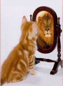 Conscience de Soi