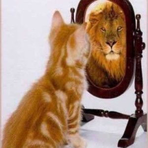 Conscience de Soi